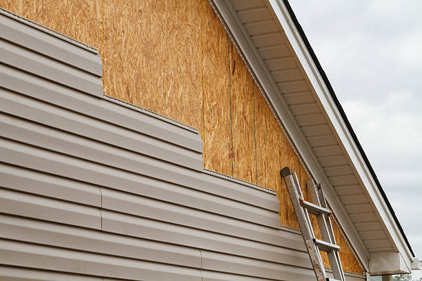 Professional Siding Contractor technician working in Bloomingdale, FL
